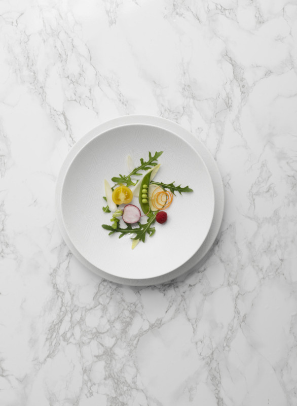 Assiette coupe creuse rond blanc porcelaine vitrifiée Ø 25 cm Jungle Astera