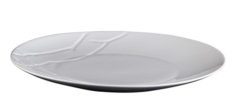 Assiette coupe plate rond blanc porcelaine vitrifiée Ø 25 cm Brushwood Astera