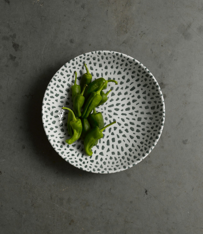 Assiette coupe plate rond vert porcelaine vitrifiée Ø 26 cm Terrazzo Dudson