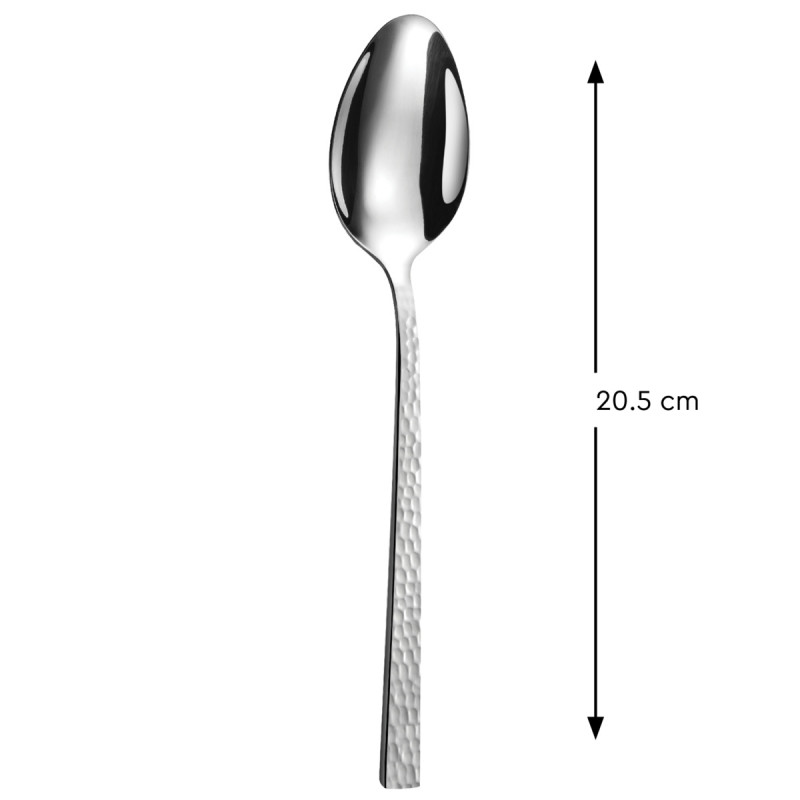 Cuillère de table inox 18/0 20,5 cm Alma Pro.mundi